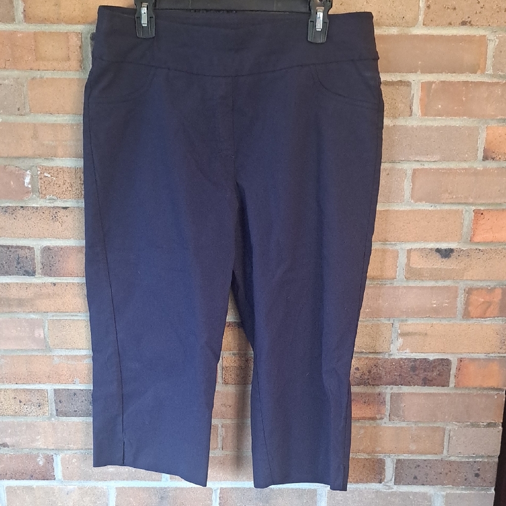 Ruby Rd. Dark Blue Cropped Pants